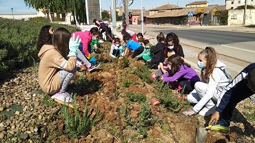 plantación flores